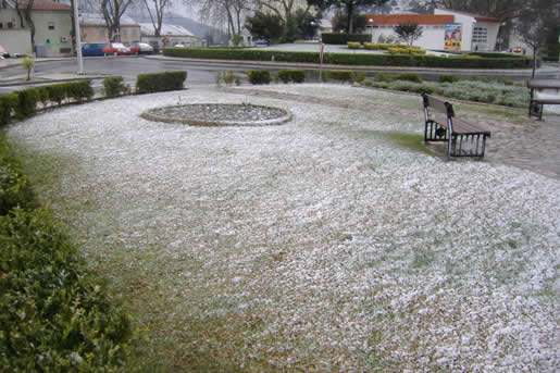 Jardim com neve