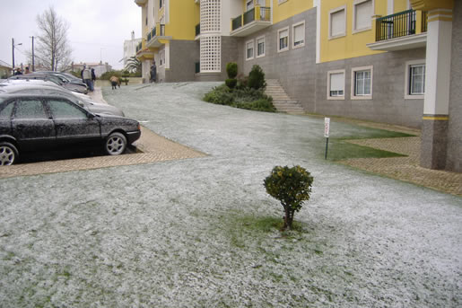 Jardim com neve