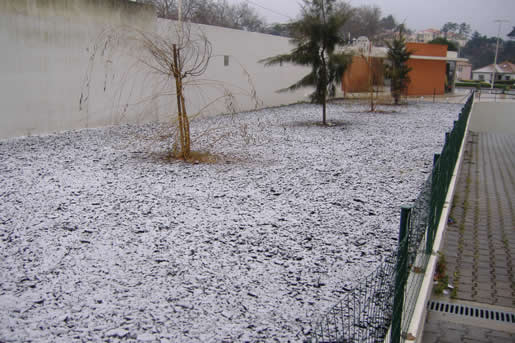Jardim com neve